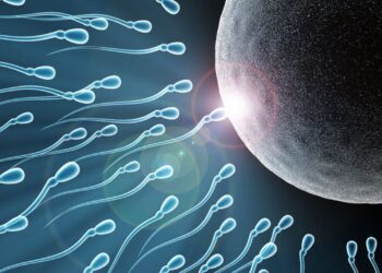 Thời gian sản xuất tinh trùng ảnh hưởng đến cơ hội thụ thai ra sao?