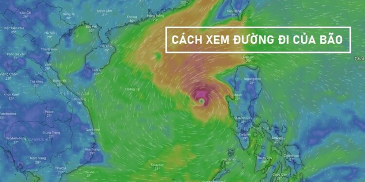 di-cua-bao-chinh-xac-tren-android-va-iphone