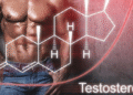 Testosterone Thấp Có Nguy Cơ Gây Vô Sinh Nam Không? Testosterone Thấp Có Nguy Cơ Gây Vô Sinh Nam Không?